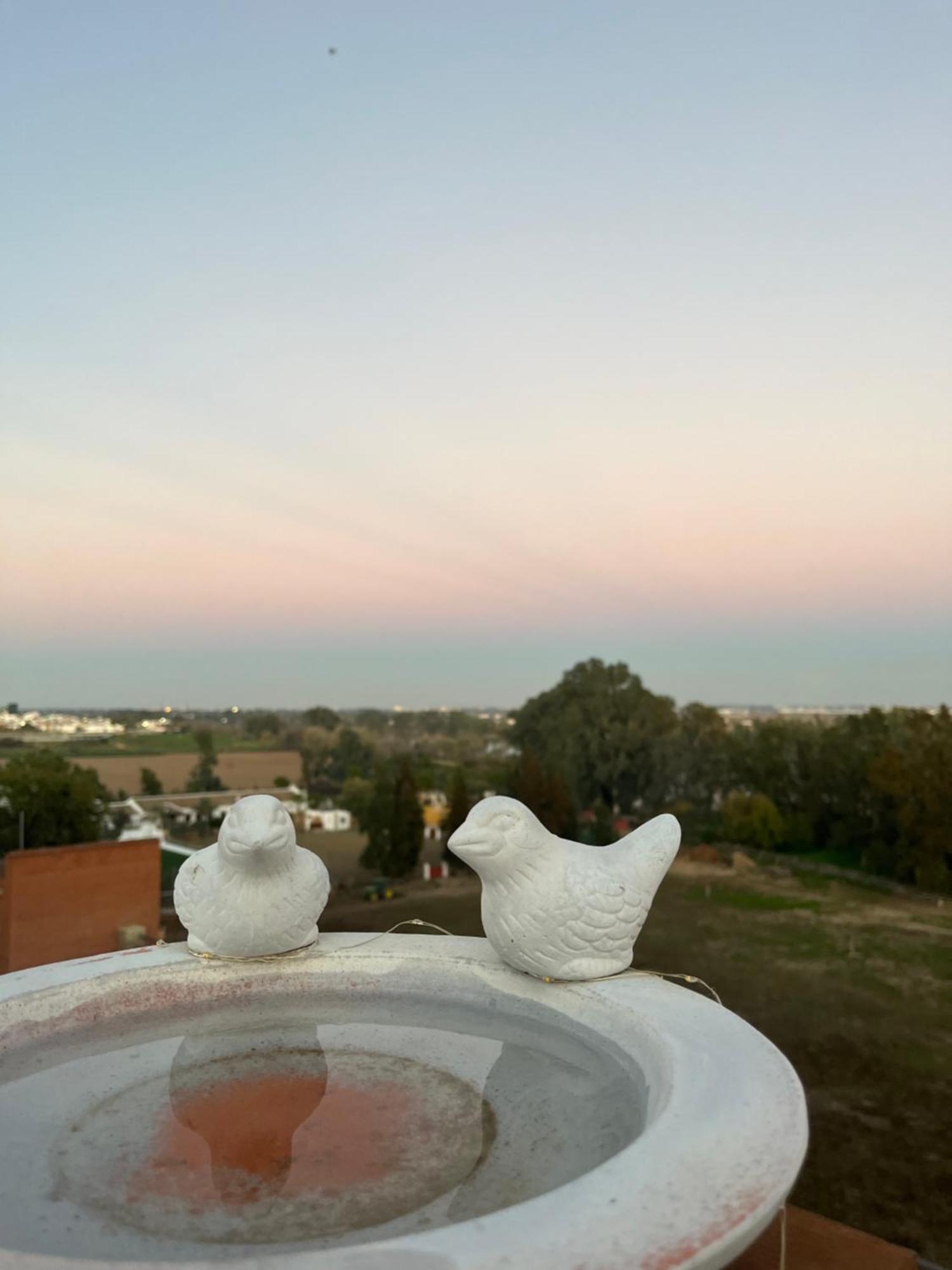 Estudio Las Palmillas Puebla del Río Buitenkant foto