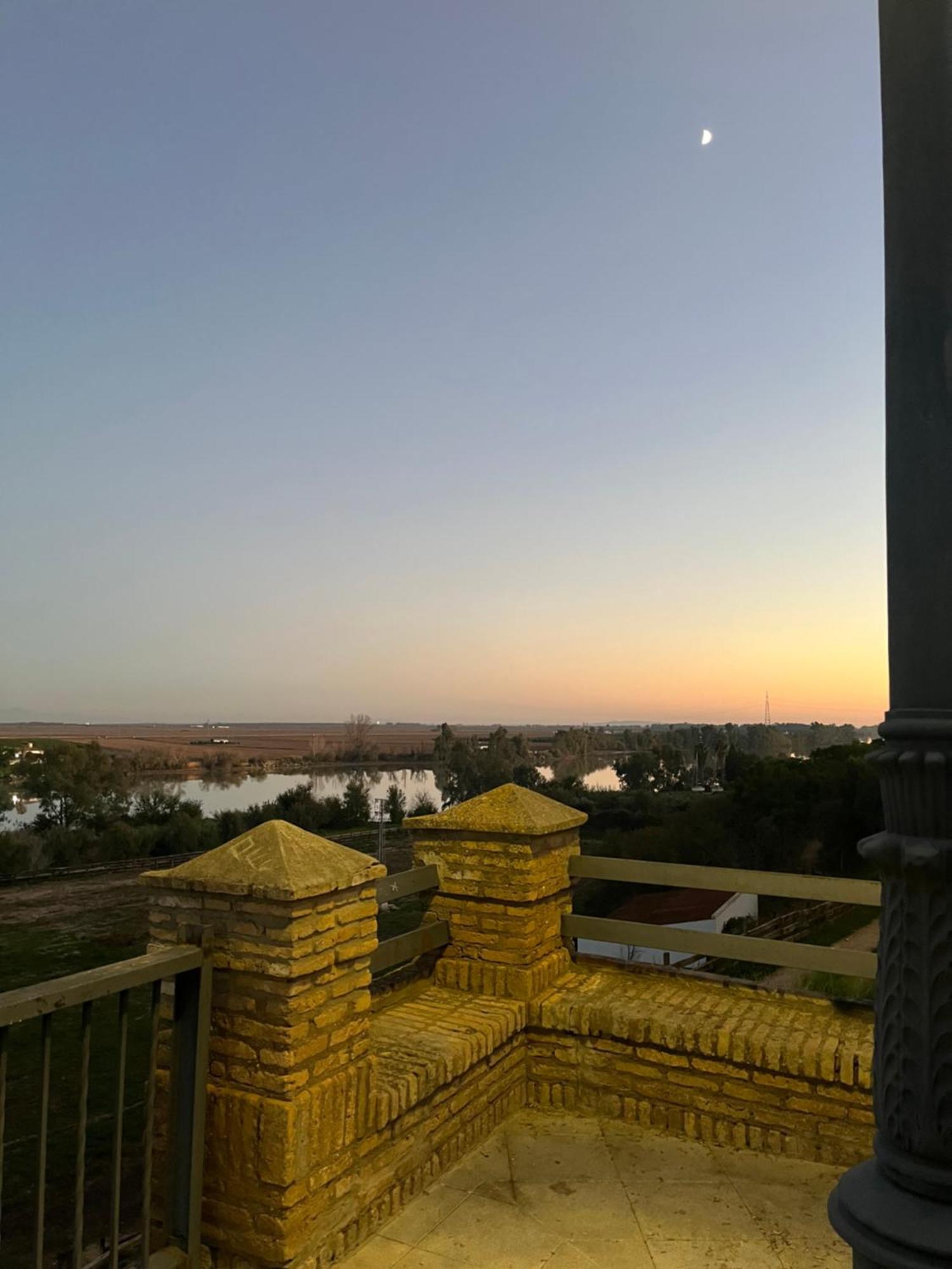 Estudio Las Palmillas Puebla del Río Buitenkant foto