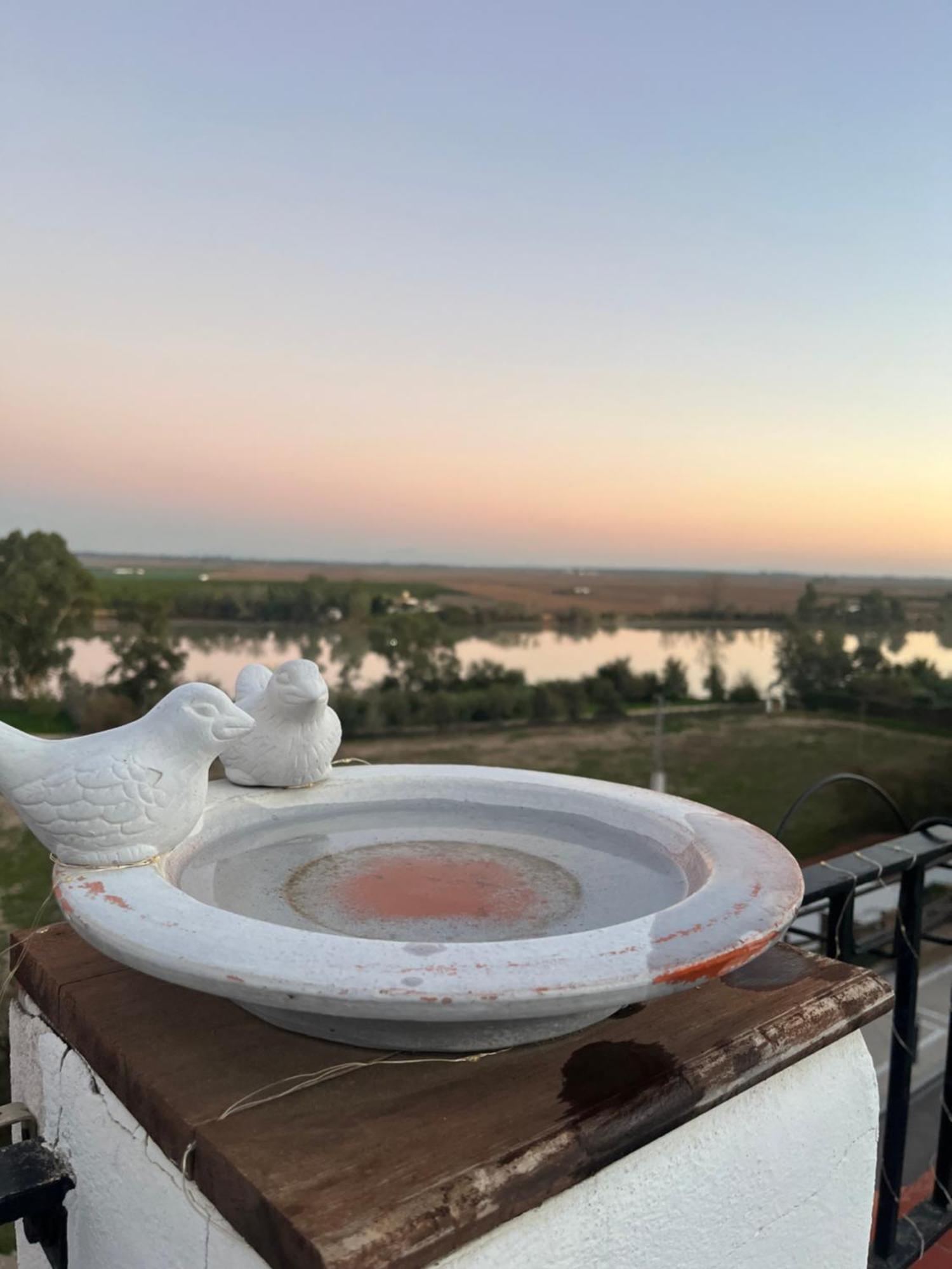 Estudio Las Palmillas Puebla del Río Buitenkant foto